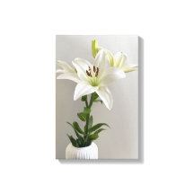 Lily Lullaby | Wit Eenvoudig Bloemschilderij