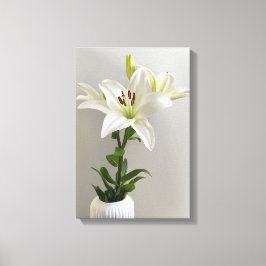 Lily Lullaby | Wit Eenvoudig Bloemschilderij Canvas Afdruk