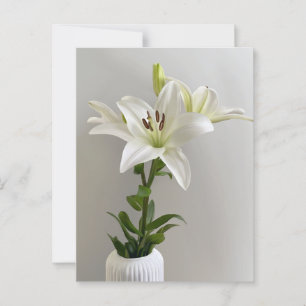Lily Lullaby   Witte Eenvoudige Bloemschildering Briefkaart