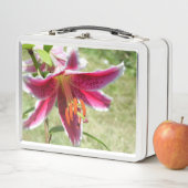 Lily Lunchbox (In situ)
