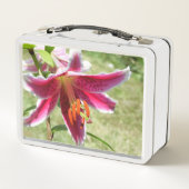 Lily Lunchbox (Achterkant)