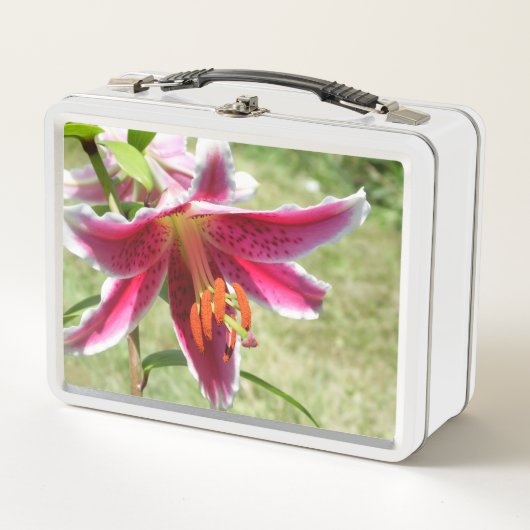 Lily Lunchbox (Voorkant)