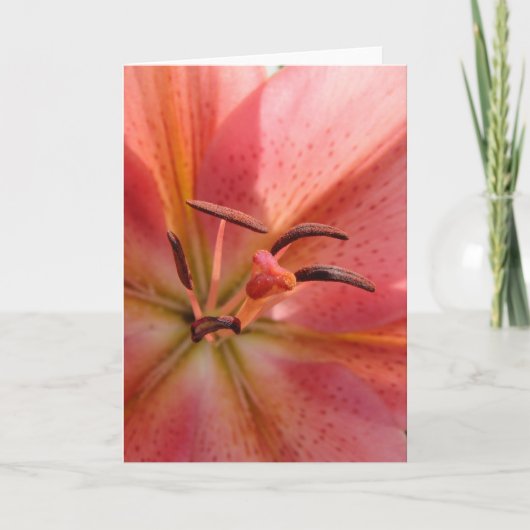 Lily Macro Kaart (Voorkant)