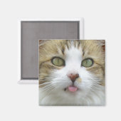 Lily Magnet 003 (Voorkant / Achterkant)