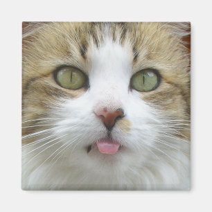 Lily Magnet 003