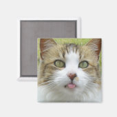 Lily Magnet 004 (Voorkant / Achterkant)