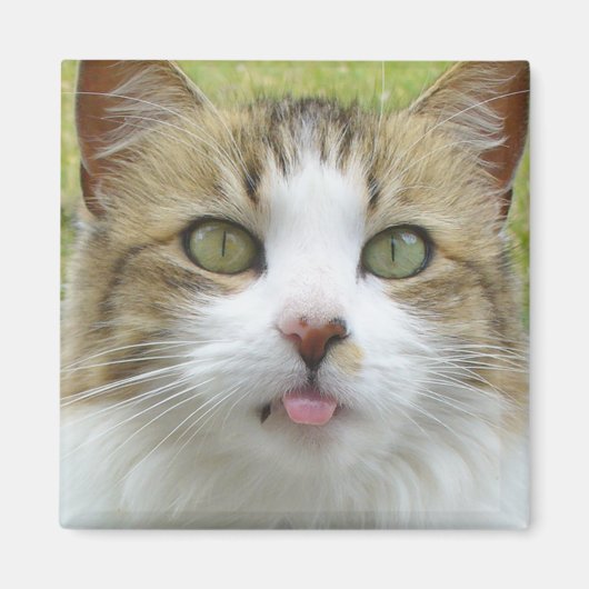 Lily Magnet 004 (Voorkant)