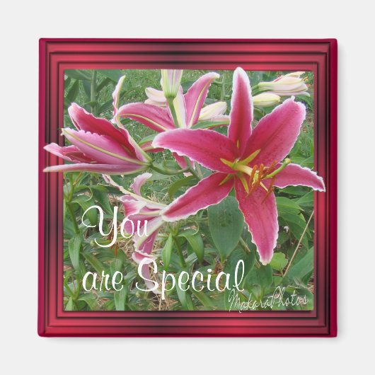 Lily Magnet-aanpassen Magneet (Voorkant)