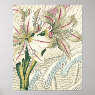 Lily met de uitbreiding poster