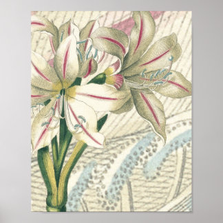 Lily met de uitbreiding poster