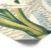 Lily met de uitbreiding poster (Hoek)