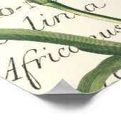 Lily met kalligrafisch detail poster (Hoek)