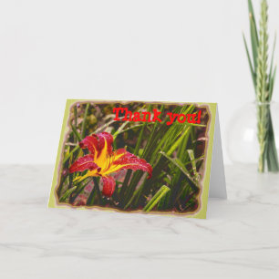 Lily na de regen bedankkaart