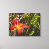 Lily na de regen canvas afdruk (Voorkant)