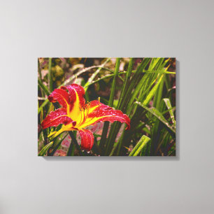 Lily na de regen canvas afdruk