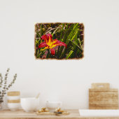 Lily na de regen poster (Keuken)