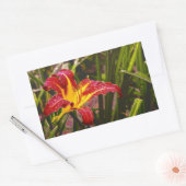 Lily na de regen rechthoekige sticker (Envelop)