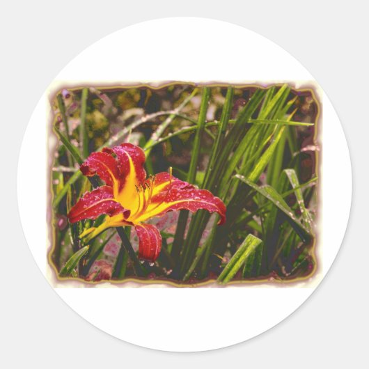 Lily na de regen ronde sticker (Voorkant)