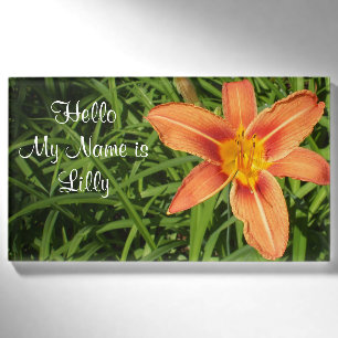 Lily Naambadge