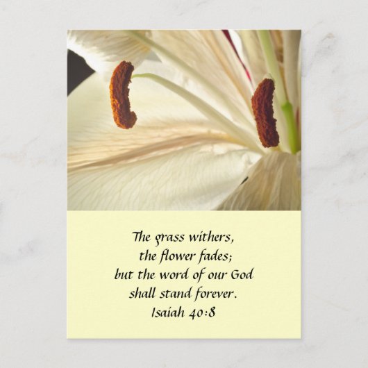 Lily of Light Briefkaart (Voorkant)