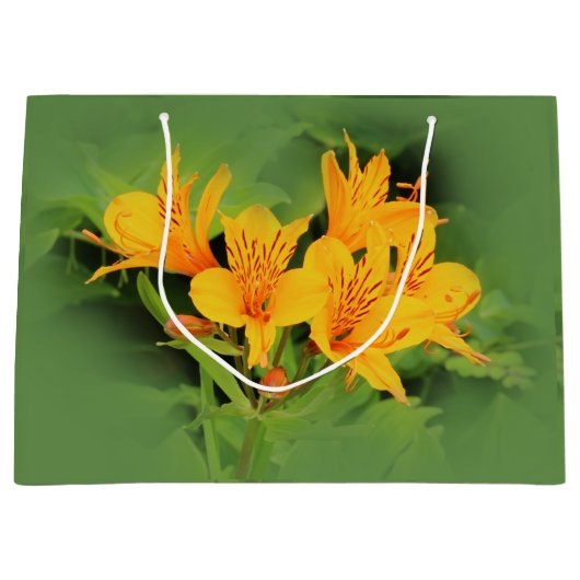 Lily of the Incas/Yellow Alstroemeria Groot Cadeauzakje (Voorkant)