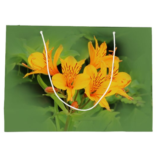 Lily of the Incas/Yellow Alstroemeria Groot Cadeauzakje (Achterkant)