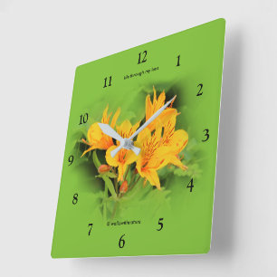 Lily of the Incas/Yellow Alstroemeria Vierkante Klok