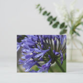 Lily of the Nile (Agapanthus sp.) Briefkaart (Staand voorkant)