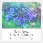 Lily of the Nile Labels (Voorkant)