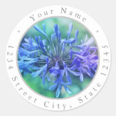 Lily of the Nile Labels (Voorkant)