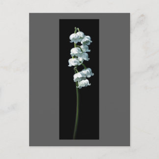 LILY OF THE VALLEY BRIEFKAART