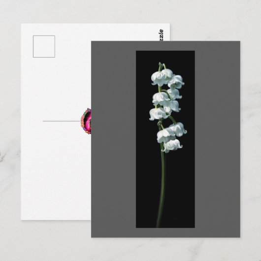LILY OF THE VALLEY BRIEFKAART (Voorkant / Achterkant)