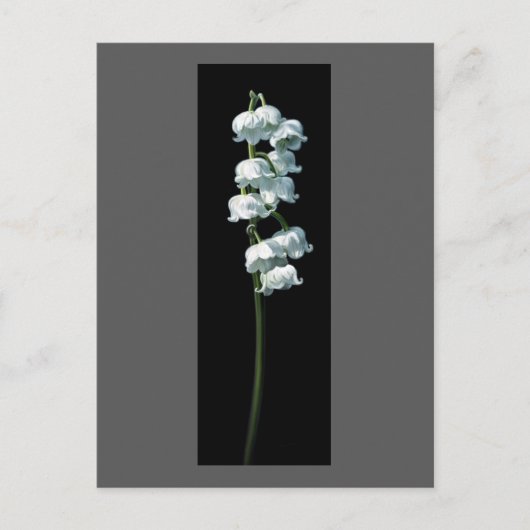 LILY OF THE VALLEY BRIEFKAART (Voorkant)