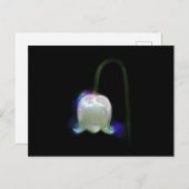 LILY OF THE VALLEY BRIEFKAART (Voorkant / Achterkant)