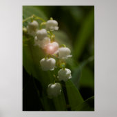 Lily of the Valley Floral Poster (Voorkant)