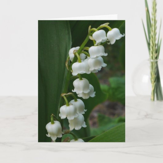 Lily-of-the-Valley-Kaart Kaart (Voorkant)