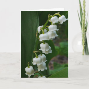 Lily-of-the-Valley-kaart Kaart