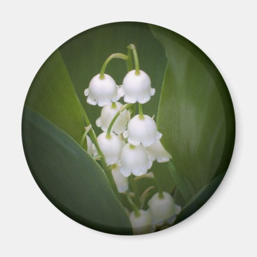 Lily-of-the-Valley Magneet (Voorkant)