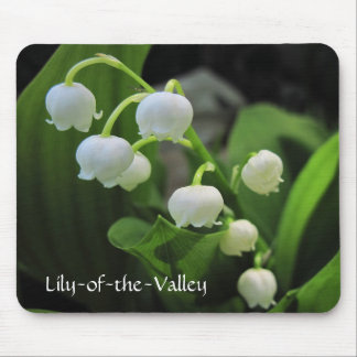 Lily-of-the-Valley Muismat