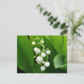 Lily-of-the-Valley Post Kaart (Staand voorkant)