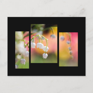 Lily of the valley postcard briefkaart