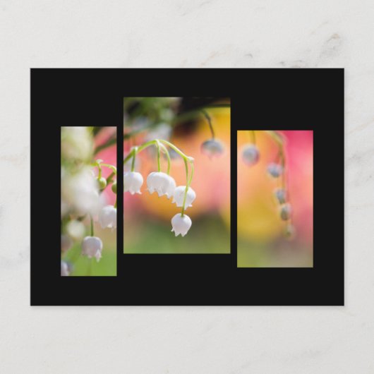 Lily of the valley postcard briefkaart (Voorkant)