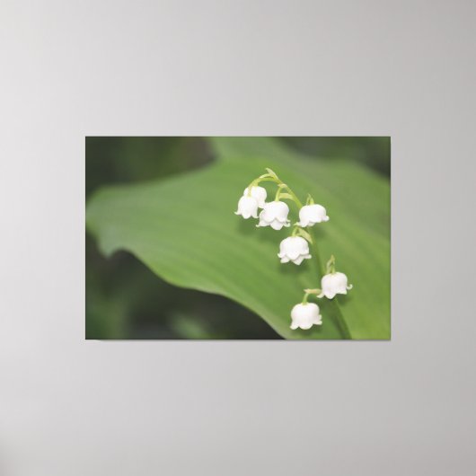 Lily of the Valley Print (Voorkant)
