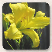 Lily Onderzetter (Voorkant)