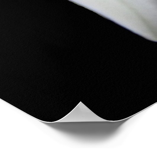 Lily op Black No. 1 Poster (Hoek)