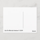 Lily op blauw briefkaart (Achterkant)