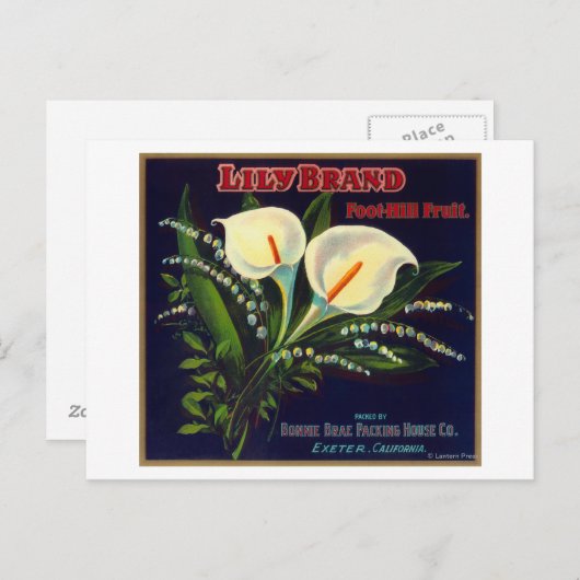 Lily Oranje LabelExeter, CA Briefkaart (Voorkant / Achterkant)