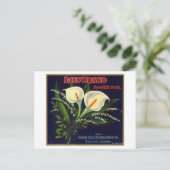 Lily Oranje LabelExeter, CA Briefkaart (Staand voorkant)