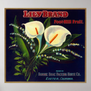 Lily Oranje LabelExeter, CA Poster