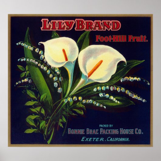 Lily Oranje LabelExeter, CA Poster (Voorkant)